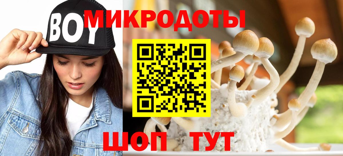 Дятьково  Галлюциногенные грибы прущие грибы  Вход с VPN  Псилоцибиновые грибы MAGIC MUSHROOMS 
