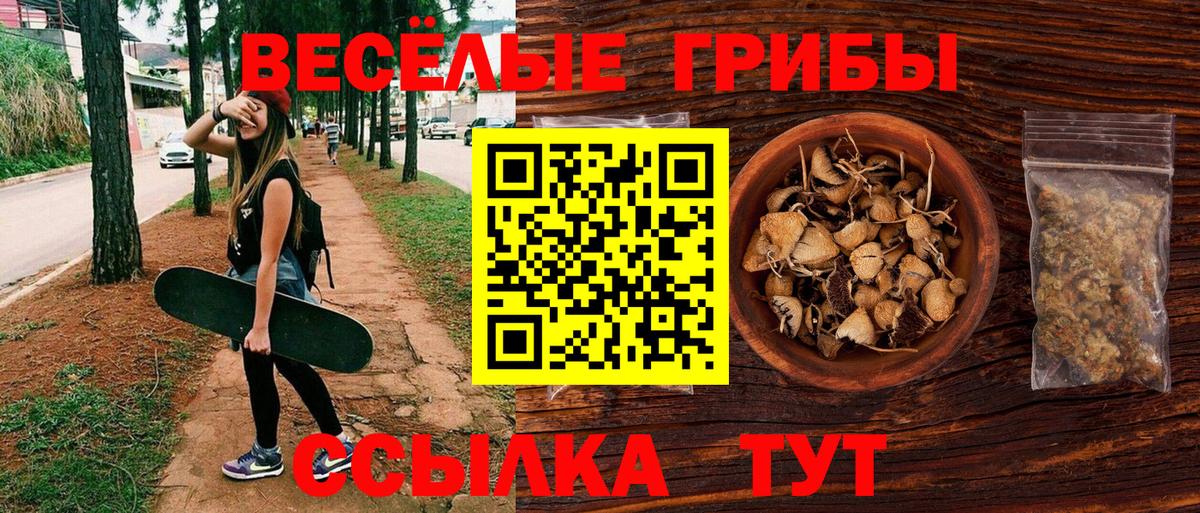 Галлюциногенные грибы Psilocybine cubensis Дятьково